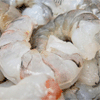 31/40 White Gulf Shrimp (Peeled) IQF
