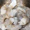 50/60 Gulf White Shrimp (Peeled)